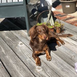 Meet your Posher, Sharon